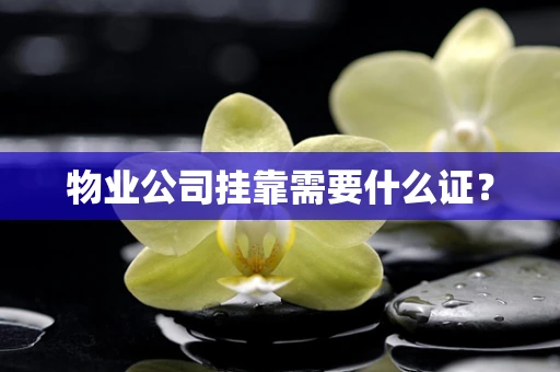 物业公司挂靠需要什么证？