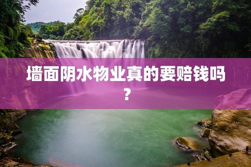 墙面阴水物业真的要赔钱吗？
