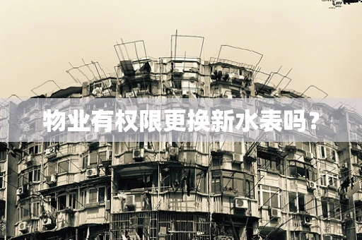 物业有权限更换新水表吗？