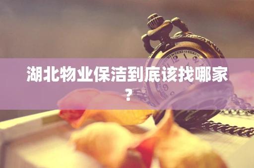 湖北物业保洁到底该找哪家？