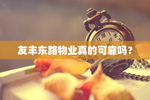 友丰东路物业真的可靠吗？