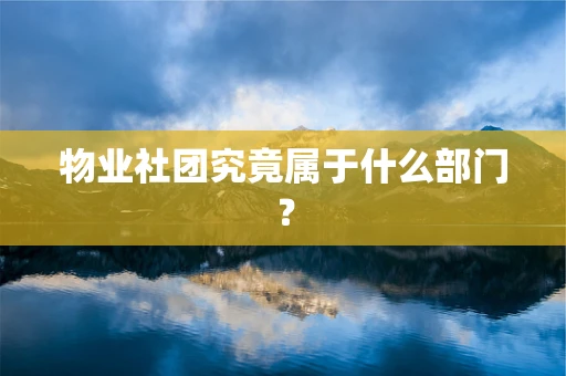 物业社团究竟属于什么部门？