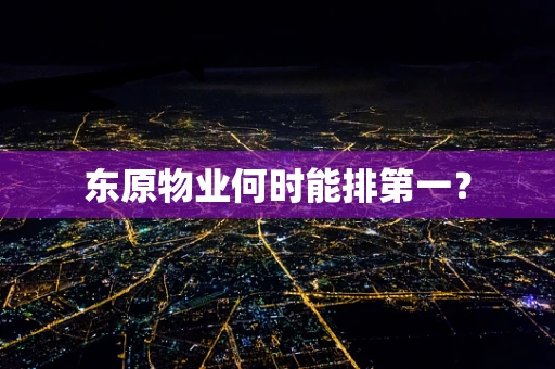 东原物业何时能排第一？