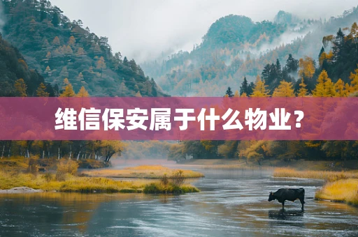 维信保安属于什么物业？