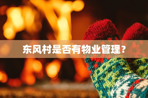 东风村是否有物业管理？