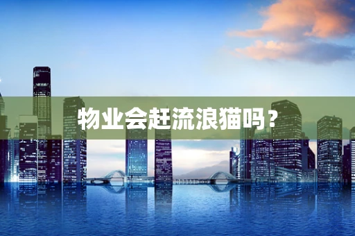 物业会赶流浪猫吗？