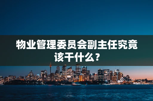 物业管理委员会副主任究竟该干什么？