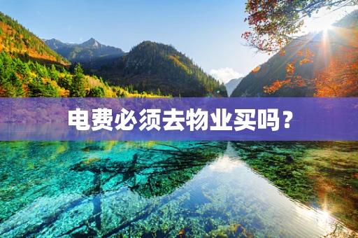 电费必须去物业买吗？