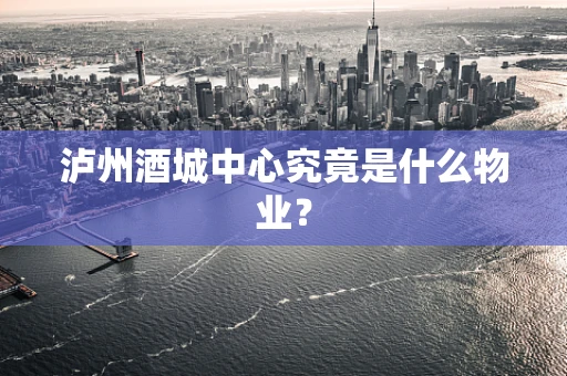 泸州酒城中心究竟是什么物业？