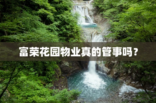 富荣花园物业真的管事吗？