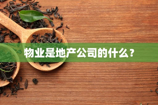物业是地产公司的什么？