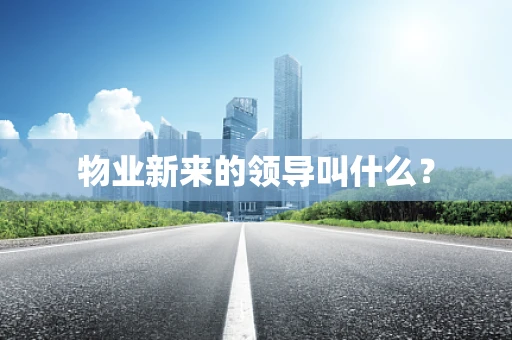 物业新来的领导叫什么？