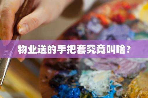 物业送的手把套究竟叫啥？