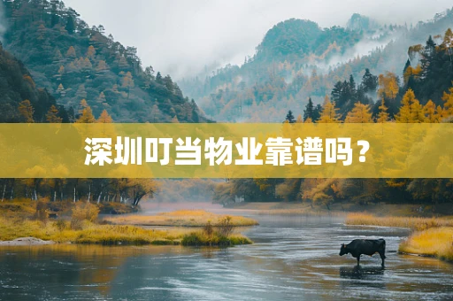 深圳叮当物业靠谱吗？