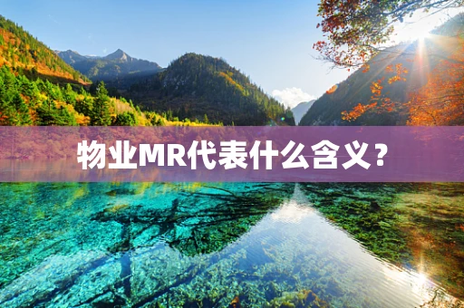 物业MR代表什么含义？