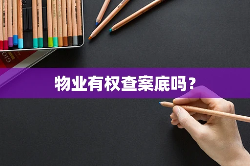 物业有权查案底吗？