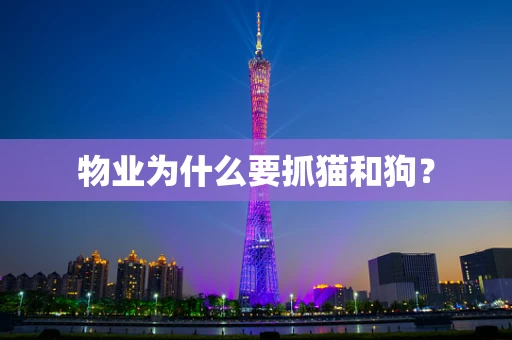 物业为什么要抓猫和狗？