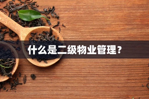 什么是二级物业管理？