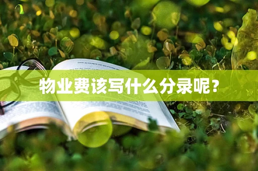 物业费该写什么分录呢？
