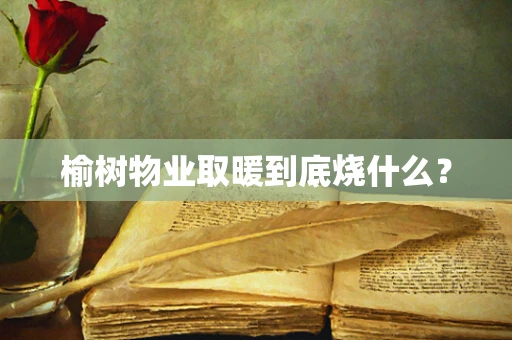 榆树物业取暖到底烧什么？