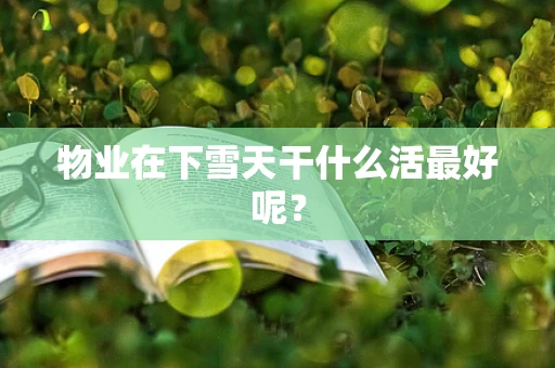 物业在下雪天干什么活最好呢？
