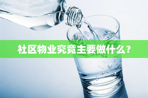 社区物业究竟主要做什么？