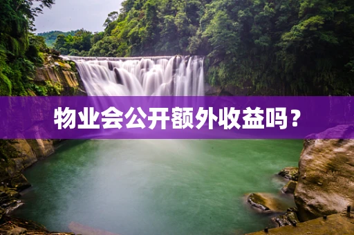 物业会公开额外收益吗？