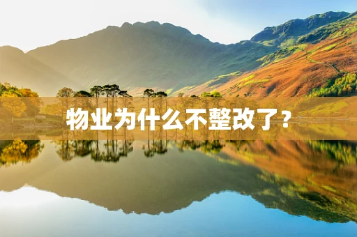 物业为什么不整改了？