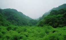 钦北区有哪些物业在招保安呢？