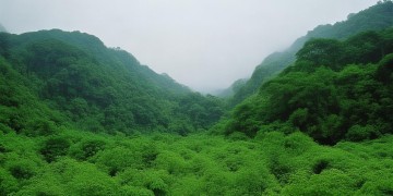 钦北区有哪些物业在招保安呢？