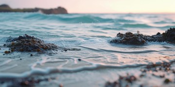 海通园物业有新消息了吗？