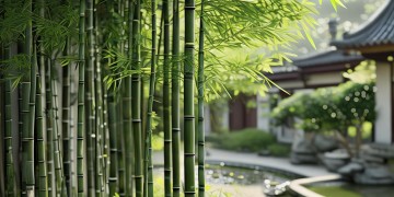格调竹境物业究竟好不好？