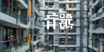 安平物业究竟是干什么的？